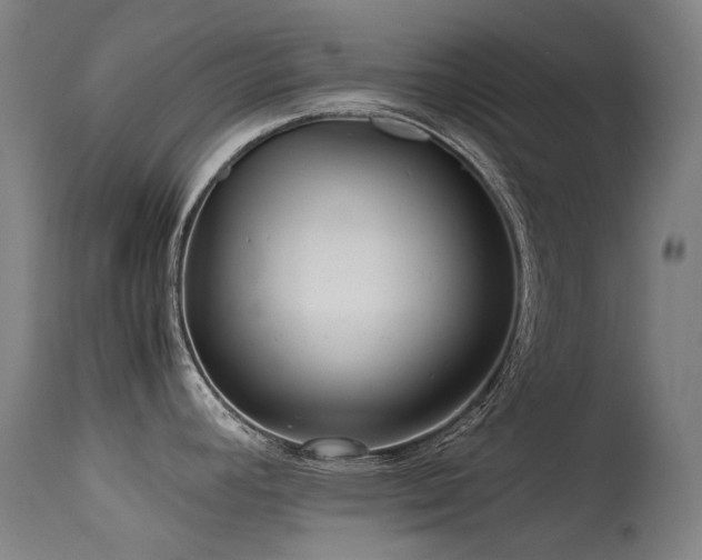 X0000115641392200911101506