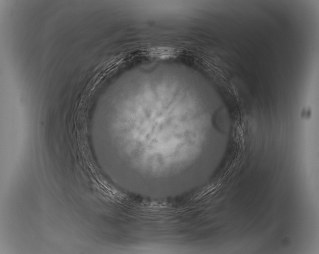 X0000115641393200911101506