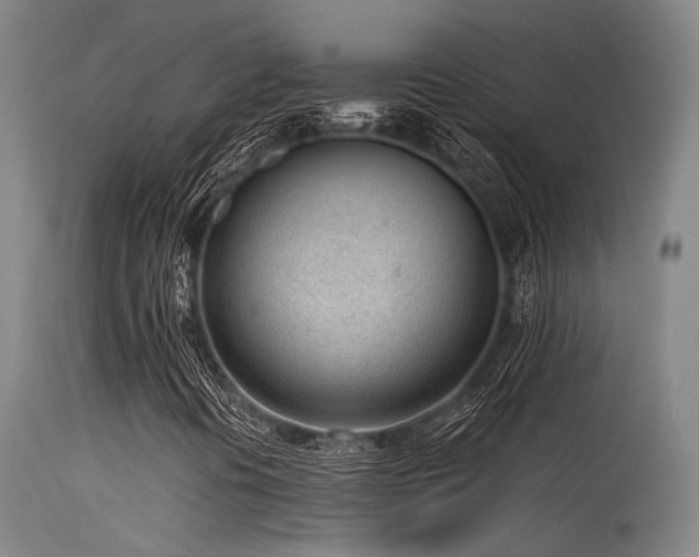 X0000115641394200911101506