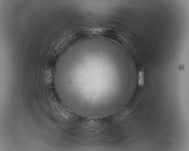 X0000115641395200911101506