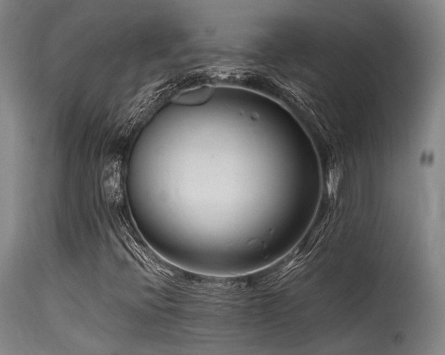 X0000115641396200911101506