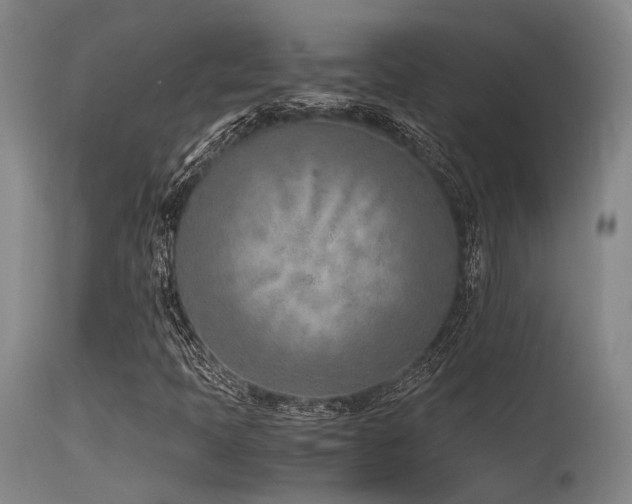 X0000115641397200911101506