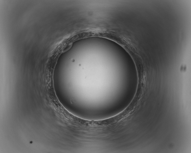 X0000115641398200911101506