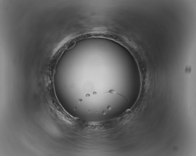X0000115641400200911101506