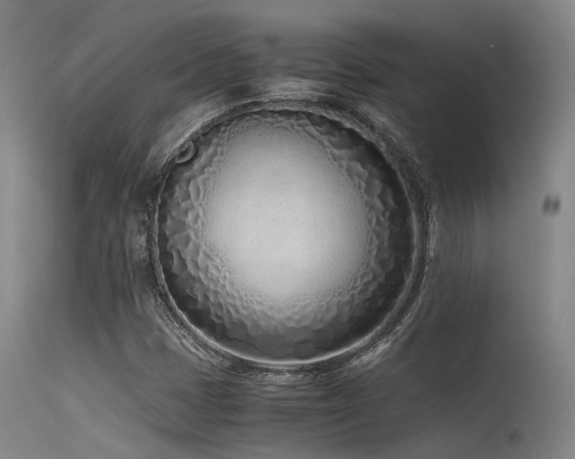 X0000115641401200911101506