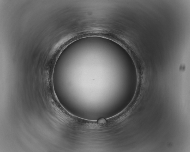 X0000115641402200911101506