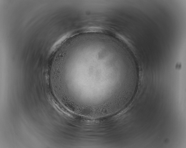 X0000115641403200911101506