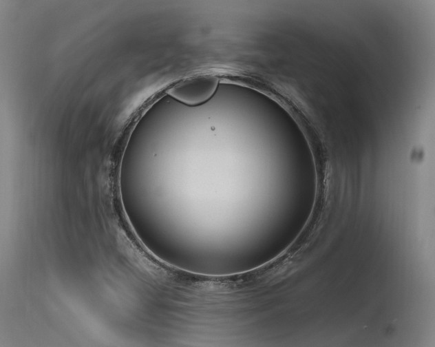 X0000115641404200911101506