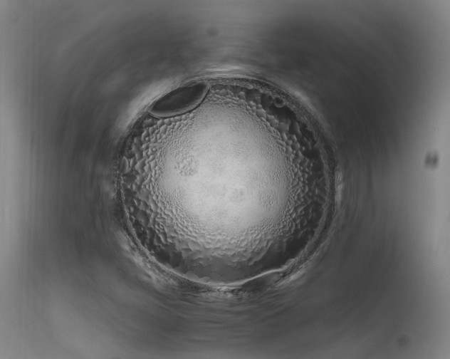 X0000115641405200911101506