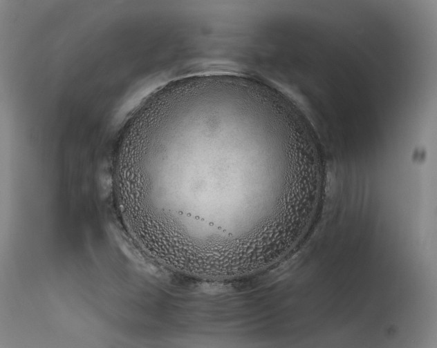X0000115641407200911101506