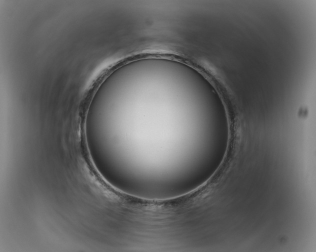 X0000115641408200911101506