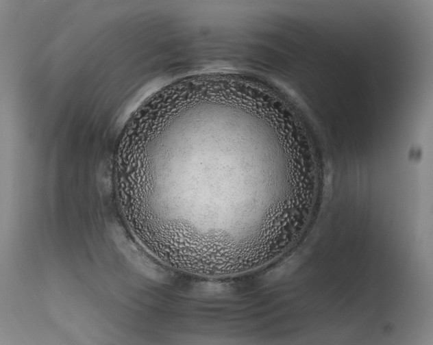 X0000115641409200911101506