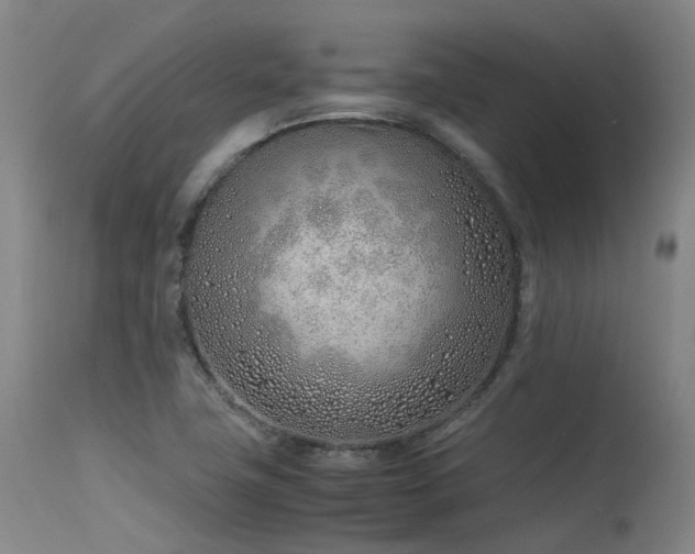 X0000115641411200911101506