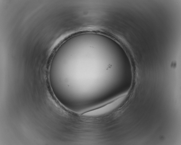 X0000115641412200911101506