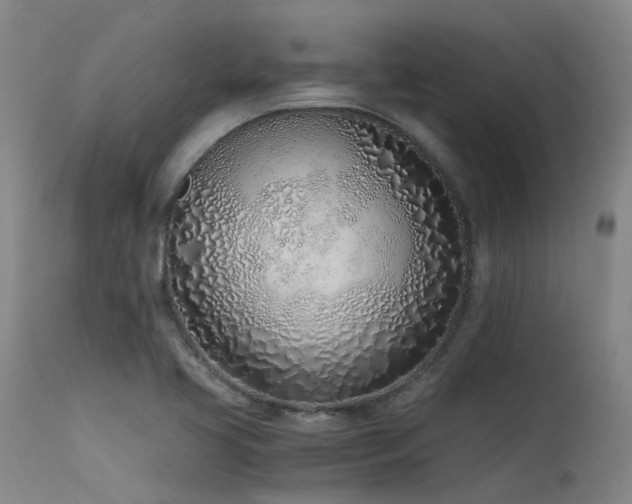 X0000115641413200911101506