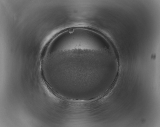 X0000115641414200911101506