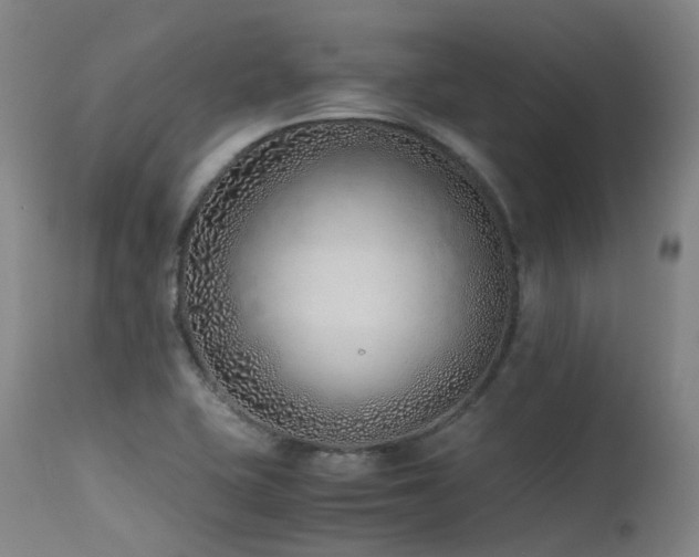 X0000115641415200911101506