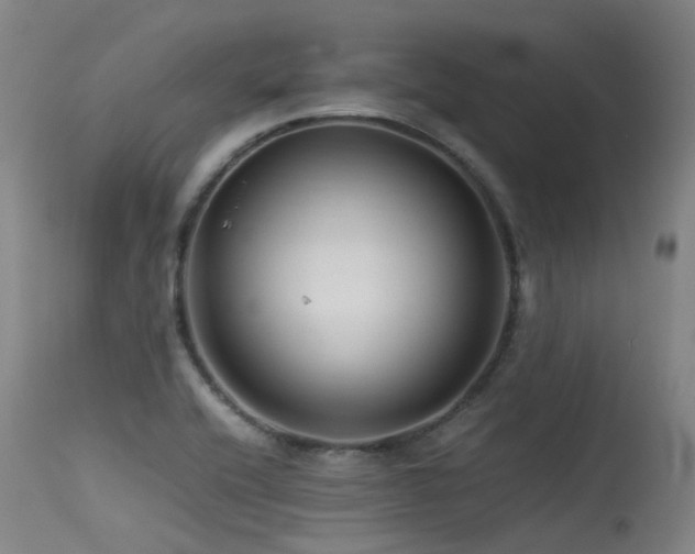 X0000115641416200911101506