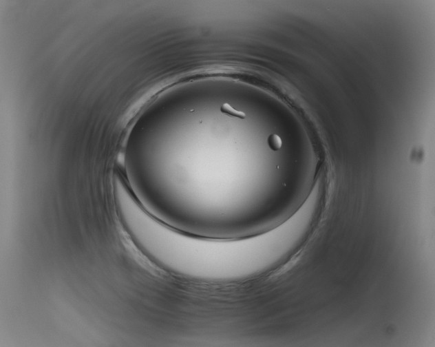 X0000115641417200911101506