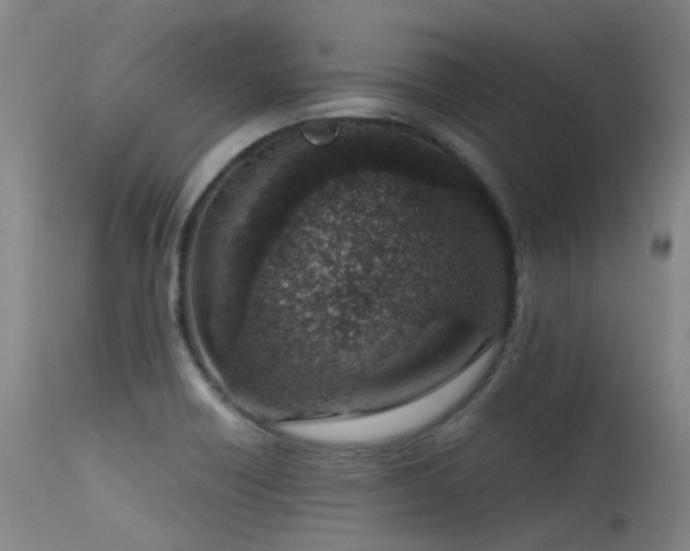 X0000115641418200911101506