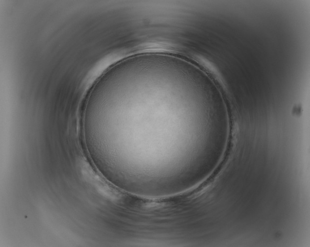 X0000115641419200911101506