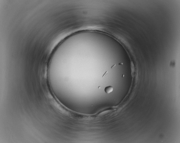 X0000115641420200911101506