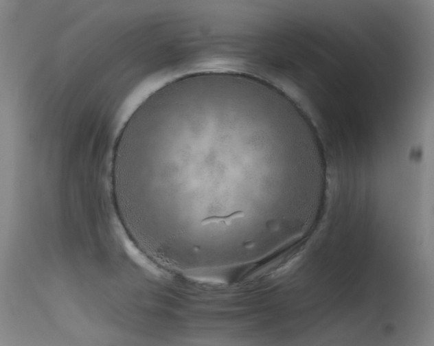 X0000115641421200911101506