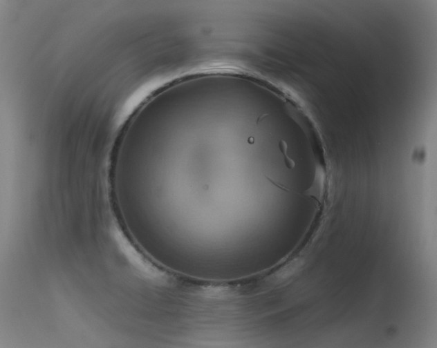 X0000115641422200911101506