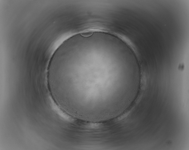 X0000115641423200911101506