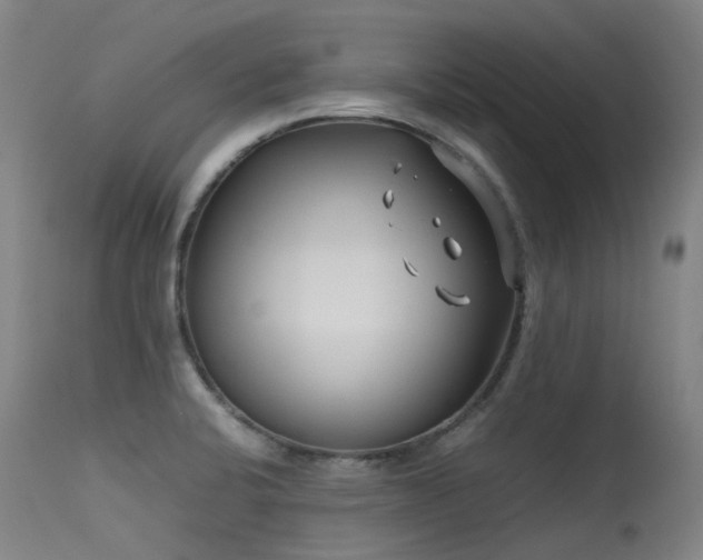 X0000115641424200911101506