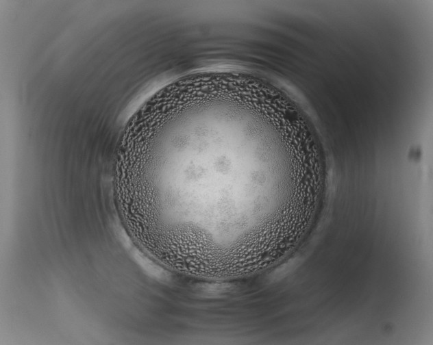 X0000115641425200911101506