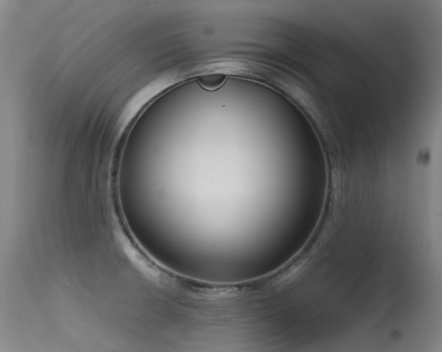 X0000115641426200911101506