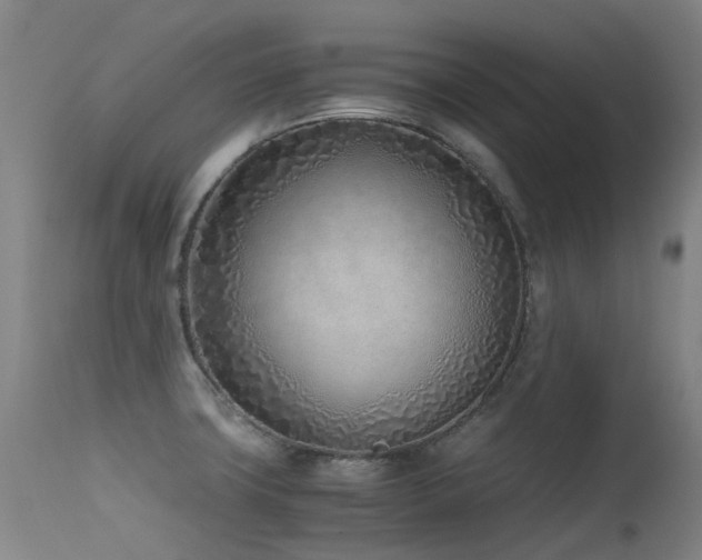 X0000115641427200911101506