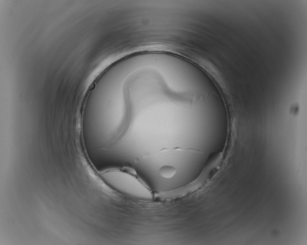 X0000115641428200911101506