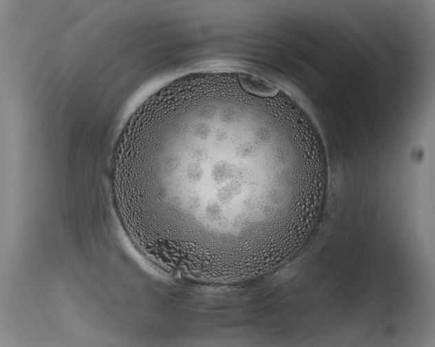 X0000115641429200911101506