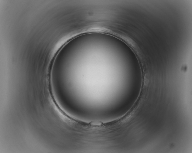 X0000115641430200911101506