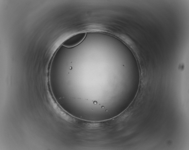 X0000115641431200911101506