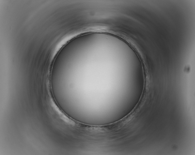 X0000115641432200911101506