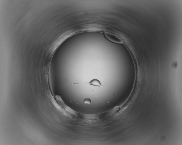 X0000115641433200911101506