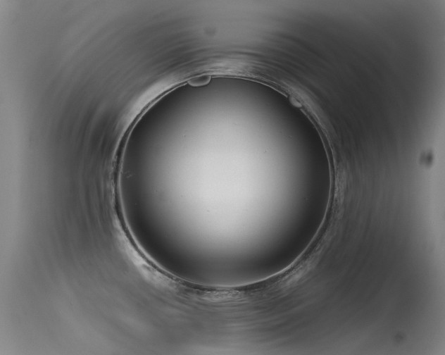 X0000115641434200911101506