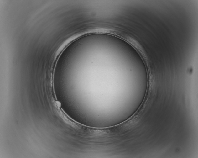 X0000115641436200911101506