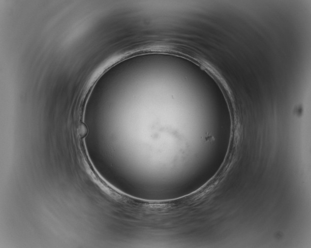 X0000115641437200911101506