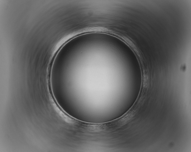 X0000115641438200911101506