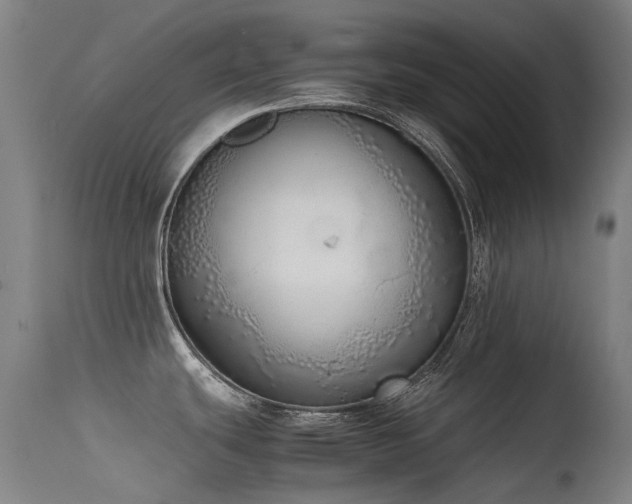 X0000115641439200911101506