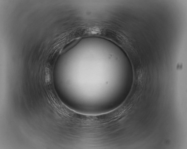 X0000115641442200911101506
