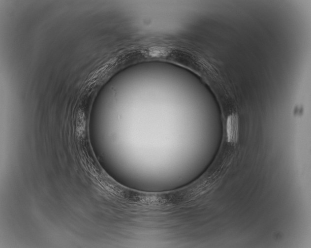 X0000115641443200911101506