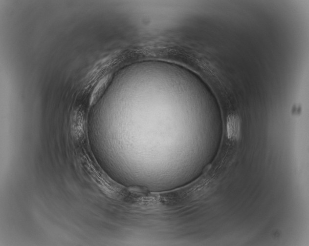 X0000115641444200911101506