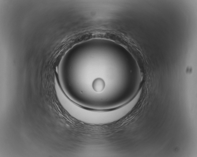X0000115641445200911101506
