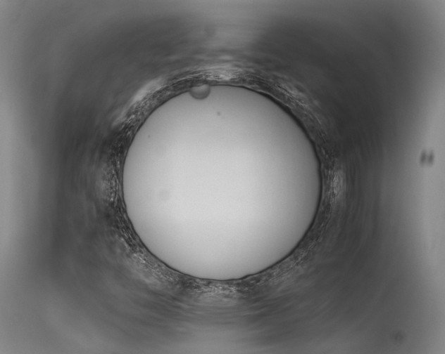X0000115641446200911101505