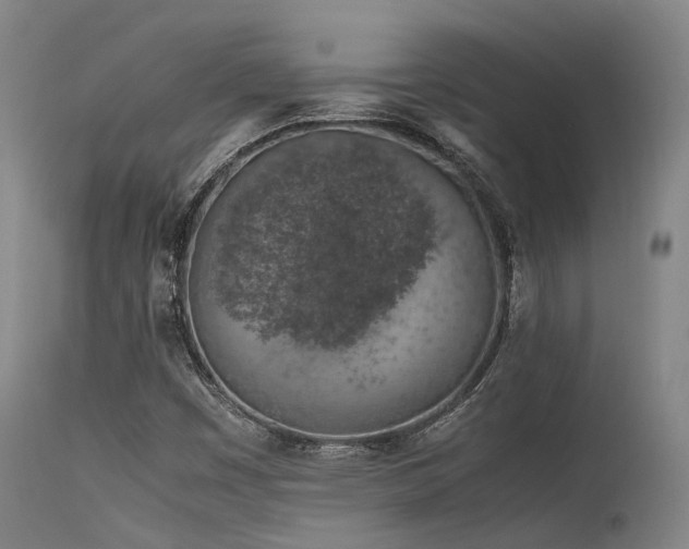 X0000115641449200911101505